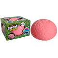 JUMBO BRAIN SQUISHY Pre order